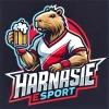 HArnasiESport