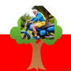 Stary na Drzewie