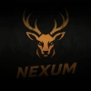 Nexum E-sports