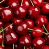 Cherrys