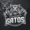 Locura Gatos