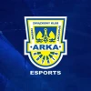 Arka Gdynia Esports Arka Gdynia Esports