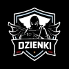Team Dzienki