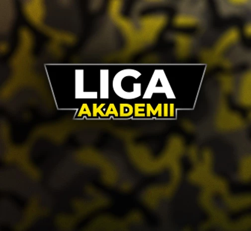 Tournament CS2 Liga Akademii S0 Playoffs