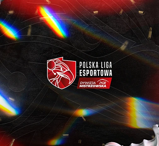 Tournament CS2 PGE Dywizja Mistrzowska Playoff