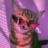 Dexter :>